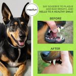 Natural Dental Gel for dogs flavourless, Say goodbye to plaque and bad breath, and hello to a healthy smile!