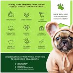 Consequences of not paying attention to your dog's oral health