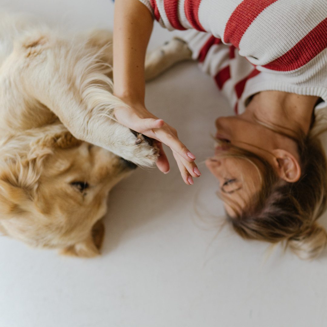 Moofurr happy dog with woman on the floor