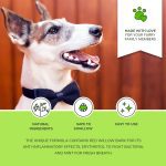 Moofurr Natural Dental Spray for dogs with mint flavour