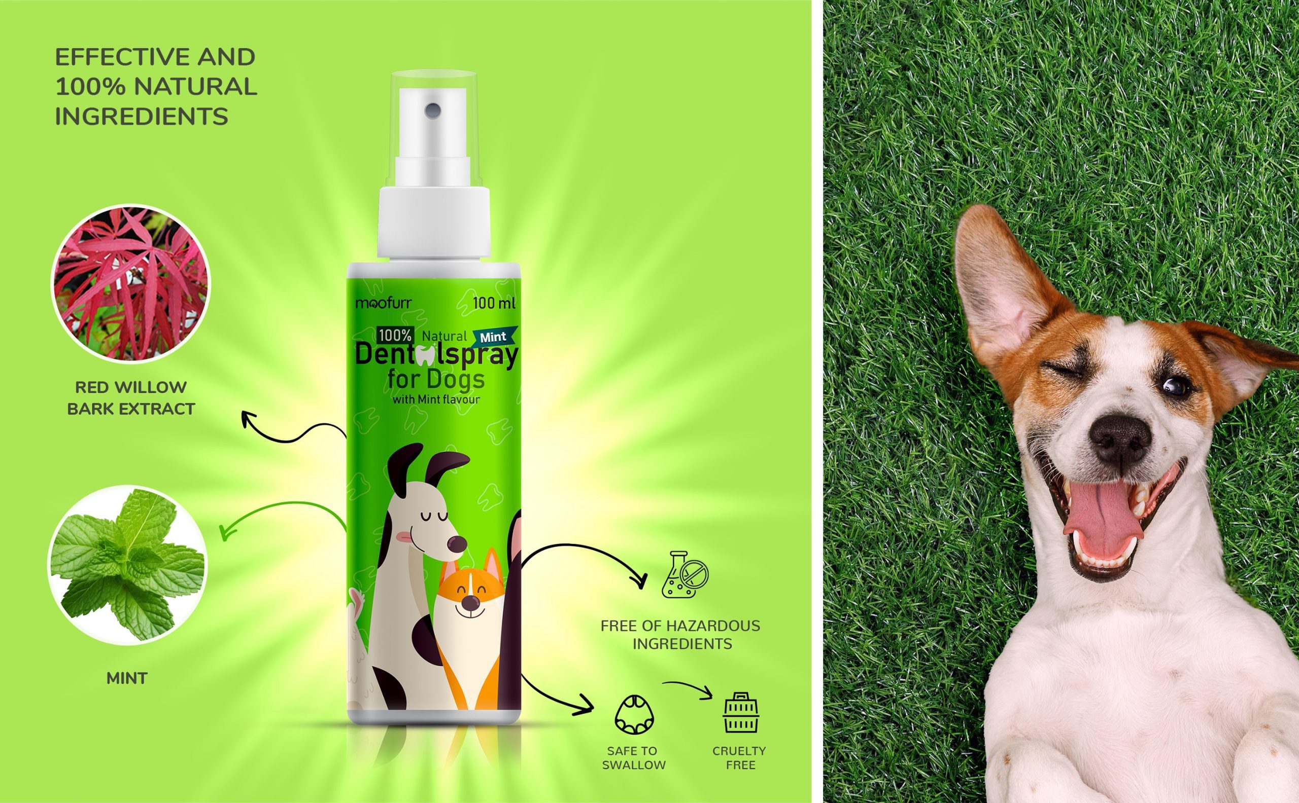 Moofurr Dentalspray for Dogs, 100% Natural with Mint Flavour